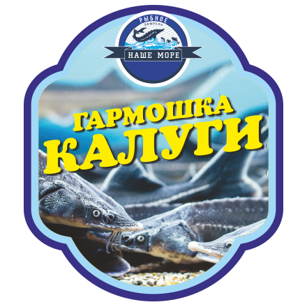 Гармошка из калуги